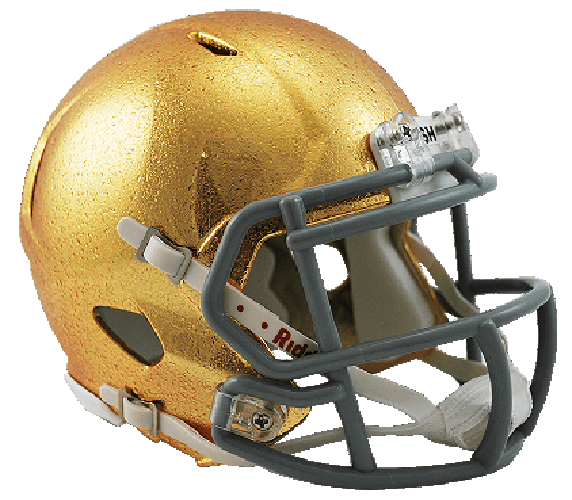Notre Dame Fighting Irish NCAA Mini Speed HydroSkin Notre Dame Fighting Irish NCAA Mini Speed HydroSkin